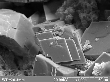 Laboratory of electron microscopy